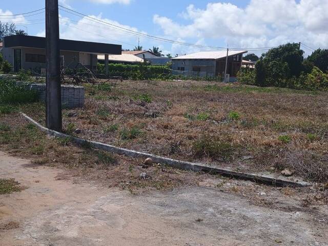 #425 - Terreno para Venda em Tibau do Sul - RN - 2