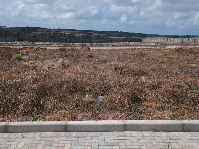 #428 - Área para Venda em Tibau do Sul - RN - 2